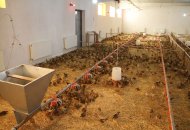 Poultry training and exercise center